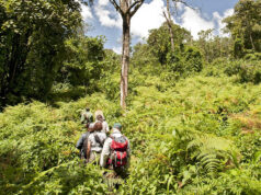 5 Things to Do in Rwanda Rwanda Trek