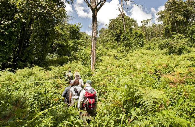 rwanda-trek Rwanda Trek
