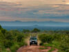 A First-Time Travel Guide in East Africa East Africa Parks