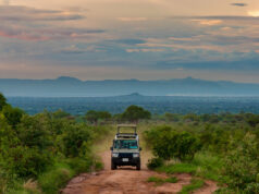 A First-Time Travel Guide in East Africa East Africa Parks
